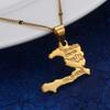 24K Gold Plated The Republic of Haiti Map Pendant Necklace Chain Port-AU-Prince Map Jewelry view 2