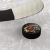 GRAPHICS & MORE The Flash Fastest Man Alive Ice Hockey Puck view 2