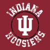 AL04 - Indiana Hoosiers Distressed Circle Logo Long Sleeve - 3X-Large - Cardinal view 3