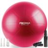 SmarterLife PRO MAX Exercise Ball for Stability Workout, Fitness, Pregnancy, Yoga, Pilates, Home Gym, Physical Therapy, Birthing, Balance Ball Chair (55 cm, Berry Red) view 1