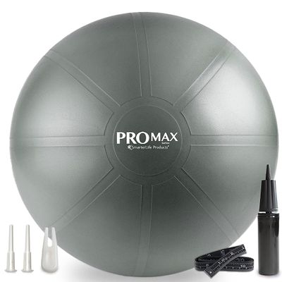 SmarterLife PRO MAX Exercise Ball for Stability Workout, Fitness, Pregnancy, Yoga, Pilates, Home Gym, Physical Therapy, Birthing, Balance Ball Chair (65 cm, Silver)