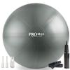 SmarterLife PRO MAX Exercise Ball for Stability Workout, Fitness, Pregnancy, Yoga, Pilates, Home Gym, Physical Therapy, Birthing, Balance Ball Chair (65 cm, Silver) view 1
