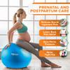 SmarterLife PRO MAX Exercise Ball for Stability Workout, Fitness, Pregnancy, Yoga, Pilates, Home Gym, Physical Therapy, Birthing, Balance Ball Chair (65 cm, Silver) view 2