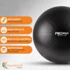 SmarterLife PRO MAX Exercise Ball for Stability Workout, Fitness, Pregnancy, Yoga, Pilates, Home Gym, Physical Therapy, Birthing, Balance Ball Chair (65 cm, Silver) view 3