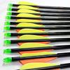 Capitano 28-Inch Archery Fiberglass Target Practice Arrow Replaceable Screw-in Tips with Nocks and Fletches, 71CM (3 Dozen) view 3