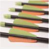 Capitano Archery Fiberglass Target Practice Arrows with Nocks, Fletches (22, 24) view 3