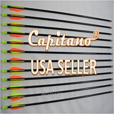 Capitano Archery Fiberglass Target Practice Arrows with Nocks, Fletches (30, 36)