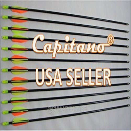 Capitano Archery Fiberglass Target Practice Arrows with Nocks, Fletches (30, 36)