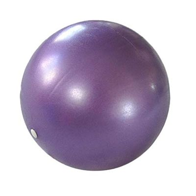 Smooth Fitness Gym Exercise Ball with Balance Pilates