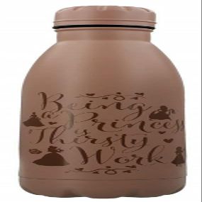 Disney Princess MDB25553 500 ml Steel Drinking Bottle, Multicoloured