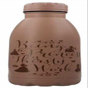 Disney Princess MDB25553 500 ml Steel Drinking Bottle, Multicoloured