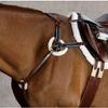 Sheepskin Padded 5-Point Breastplate with Running Attachment by Ovation view 1