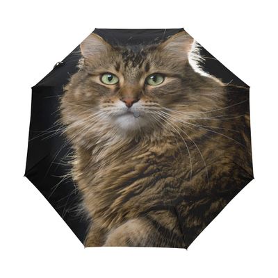 Black Compact Travel Umbrella Maine Coon Cat Auto Open Close Umbrella Windproof Anti-UV