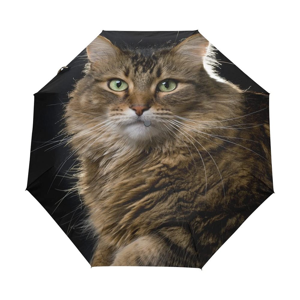Black Compact Travel Umbrella Maine Coon Cat Auto Open Close Umbrella Windproof Anti-UV
