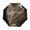 Black Compact Travel Umbrella Maine Coon Cat Auto Open Close Umbrella Windproof Anti-UV view 1