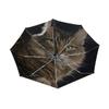 Black Compact Travel Umbrella Maine Coon Cat Auto Open Close Umbrella Windproof Anti-UV view 4