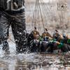 Rig'Em Right Waterfowl Pre-Rigged Xtreme Coated Tangle Free Cable Decoy Anchors for Duck Hunting (18" Length, 4-oz Weights) view 4