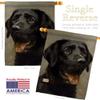 Dog Black Lab House Flag Eagle Set Animals Puppy Spoiled Paw Canine Fur Pet Nature Farm Animal Creature Small Decorative Gift Yard Banner Made In USA 28 X 40 view 3