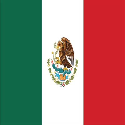 EZ CUT PRO Mexico Flag 36" x 19" Decal Sticker 3M Vinyl Made in USA