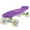 Skateboards Purple Boys Mini Cruiser Skateboard 22 inch Kids Board for Girl Youth Children Toddler Teenagers Adult Dog for Beginner Boys 7 to 10 (Purple) view 1
