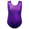 BAOHULU Gymnastics Leotards for Girls Shiny Jewels Kids Athletic Apperal Dance Outfit B199_DarkPurple_12A view 1