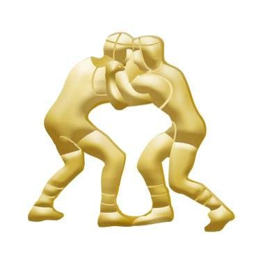 1"x 1" Wrestling Pins, Perfect Chenille Wrestling Gold Lapel Pins To Reward Wrestlers 50 Pack