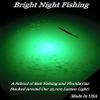 Bright Night Fishing Green LED,110v 15,000 Lumen 30ft Cord, HD- Waterproof AC Conv. Underwater Fishing Light 300 Green LEDs, Submersible Dock Light, Fish Attractor. view 3