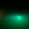 Bright Night Fishing Green LED,110v 15,000 Lumen 30ft Cord, HD- Waterproof AC Conv. Underwater Fishing Light 300 Green LEDs, Submersible Dock Light, Fish Attractor. view 4