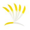 AMEYXGS 30pcs 5 Inch Turkey Feathers DIY Archery Feather Right Wing Arrows Feather Hunting Arrow Accessories (Yellow)