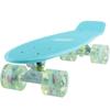 Skateboard Light Blue Complete Youth 22 inch Mini Cruiser Skateboards for Kids Boys Girls Beginners Child Toddler Teenagers Dog Age 5 to 8 (Light Blue) view 1