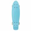 Skateboard Light Blue Complete Youth 22 inch Mini Cruiser Skateboards for Kids Boys Girls Beginners Child Toddler Teenagers Dog Age 5 to 8 (Light Blue) view 2
