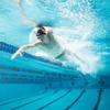 TYR Tracer-X Elite Racing Swim Goggles, Gold/Orange Mirrored view 4