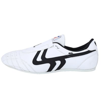 Boxing Shoes Arts Sneaker Karate Kung fu Taichi Kick Shoes Universal for Men and Women Sport Trainning (40) White