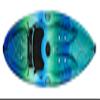 Perception Tribe 9.5 - Recerational Kayak Sit on Top - Large Rear Storage with Tie Downs - 9.5 ft - Dj Vu view 1