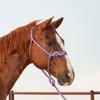Classic Equine Flat Braid Halter and Leadrope, Purple-Grey view 2