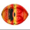 Perception Tribe 9.5 - Recerational Kayak Sit on Top - Large Rear Storage with Tie Downs - 9.5 ft - Sunset view 1