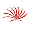 AMEYXGS 50pcs Arrow Feathers 5 Inch Parabolic Turkey Feathers DIY Archery Feather Right Wing Archery Accessories (red) view 2