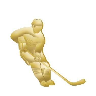 .875" x 1"Ice Hockey Pins, Perfect Chenille Ice Hockey Gold Lapel Pins To Reward Players 30 Pack
