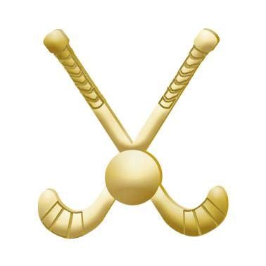 1" x 1" Field Hockey Pins, Sports Pins Great Field Hockey Gold Lapel Pins To Reward Field Hockey Players 30 Pack