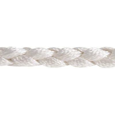 Classic Equine Braided Nylon Tape Halter, White