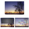 Decalrus - Protective Decal Sunset Skin Sticker for Dell Latitude 3301 (13.3" Screen) case Cover wrap DElatitude_3301-84 view 1