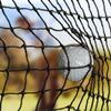 On Deck Sports Residential Golf Netting for Backyards, Driving & Chipping Practice, and Indoor & Outdoor Simulators - High Impact 10' x 25' view 1