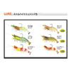 Viseo Swimbait Shrimp Raw view 2
