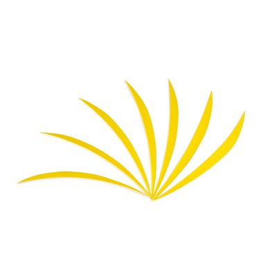 AMEYXGS 50pcs Arrow Feathers 5 Inch Parabolic Turkey Feathers DIY Archery Feather Right Wing Archery Accessories (Yellow)