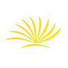 AMEYXGS 50pcs Arrow Feathers 5 Inch Parabolic Turkey Feathers DIY Archery Feather Right Wing Archery Accessories (Yellow) view 2