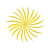 AMEYXGS 50pcs Arrow Feathers 5 Inch Parabolic Turkey Feathers DIY Archery Feather Right Wing Archery Accessories (Yellow) view 3