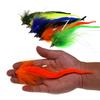 wifreo 10pcs/Box Fly Fishing Flies Dragontail Fly Combo Set, Assorted Color Muskie Bass Fishing Lure Pike Fly Marabou Trolling Bait Streamer view 2