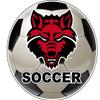 Arkansas State 4-Inch Soccer Vinyl Decal Sticker - Officially Licensed Collegiate Product view 1