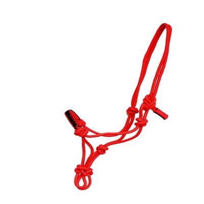 Y&Z Adjustable Nylon Horse Halter with Nylon Rope Lead (Red & Black, Cob)