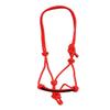 Y&Z Adjustable Nylon Horse Halter with Nylon Rope Lead (Red & Black, Cob) view 2